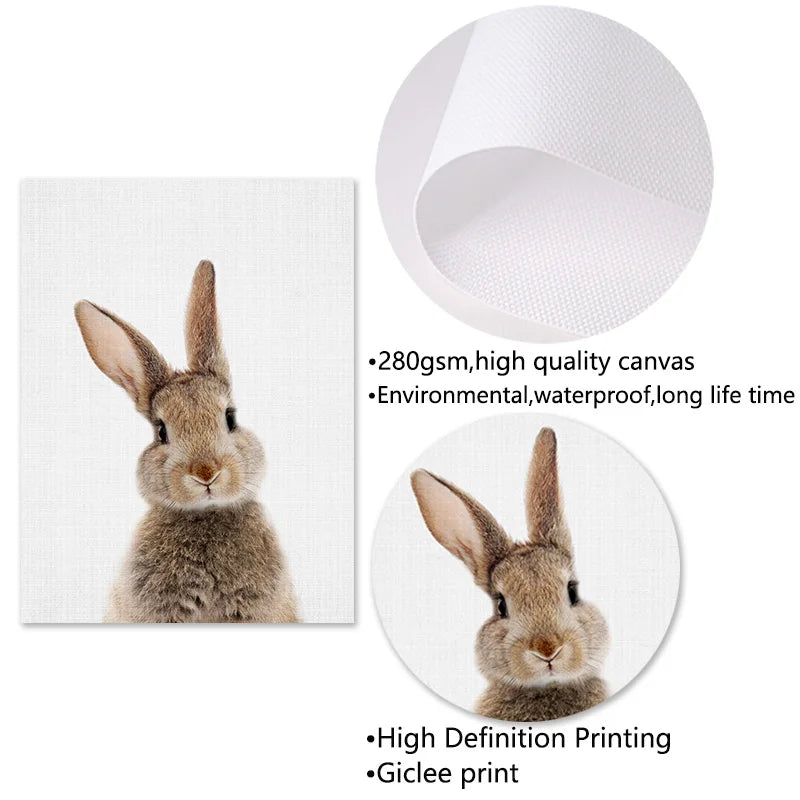 Bunny Rabbit Tail Wall Art Woodland Animal Poster